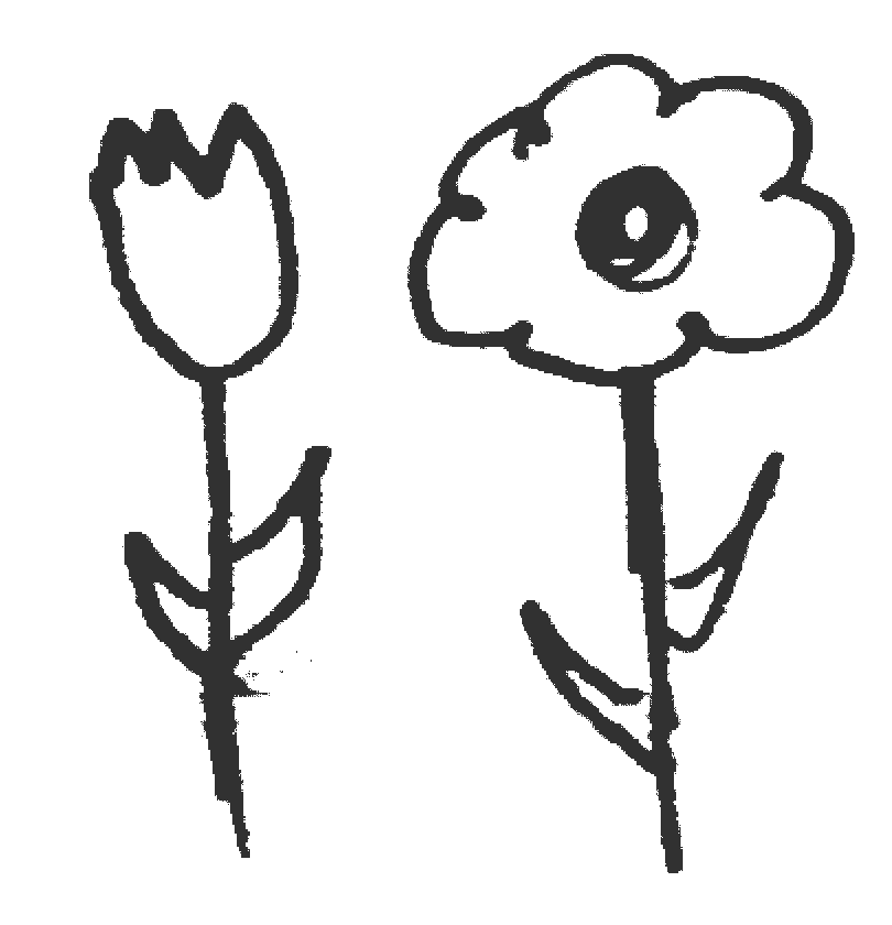 A doodle of two flowers in bloom.